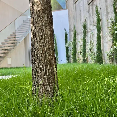 Villa La Scala, Coast, *